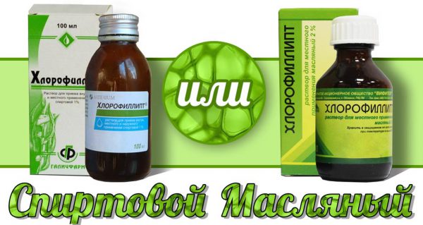 Хлорофиллипт спиртовой или масляный?