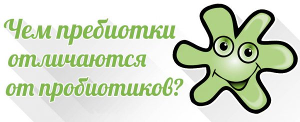 Чем отличаются пребиотики от пробиотиков?