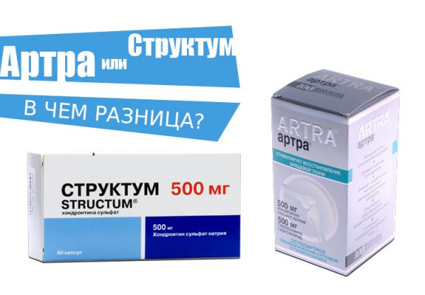 Артра или Структум — что лучше?