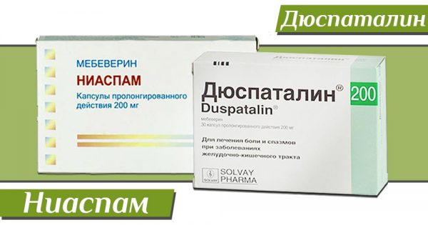 Ниаспам или Дюспаталин — что лучше?