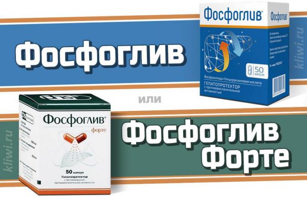 Фосфоглив или Фосфоглив Форте — что лучше?