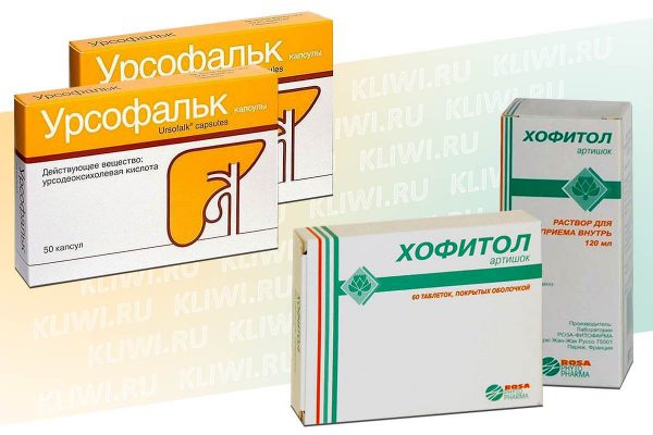 Урсофальк или Хофитол — что лучше?