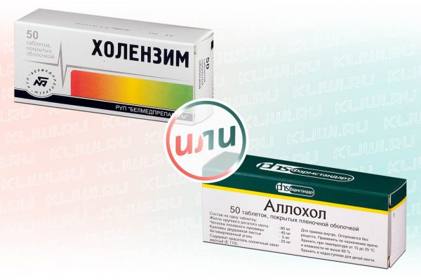 Холензим или Аллохол — что лучше?